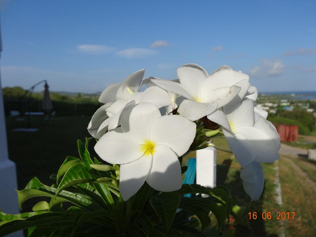 Holiday Home Belvedere Dickenson Bay Exterior foto
